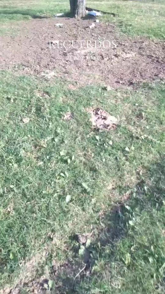 TikTok video thumbnail by clarken2020
