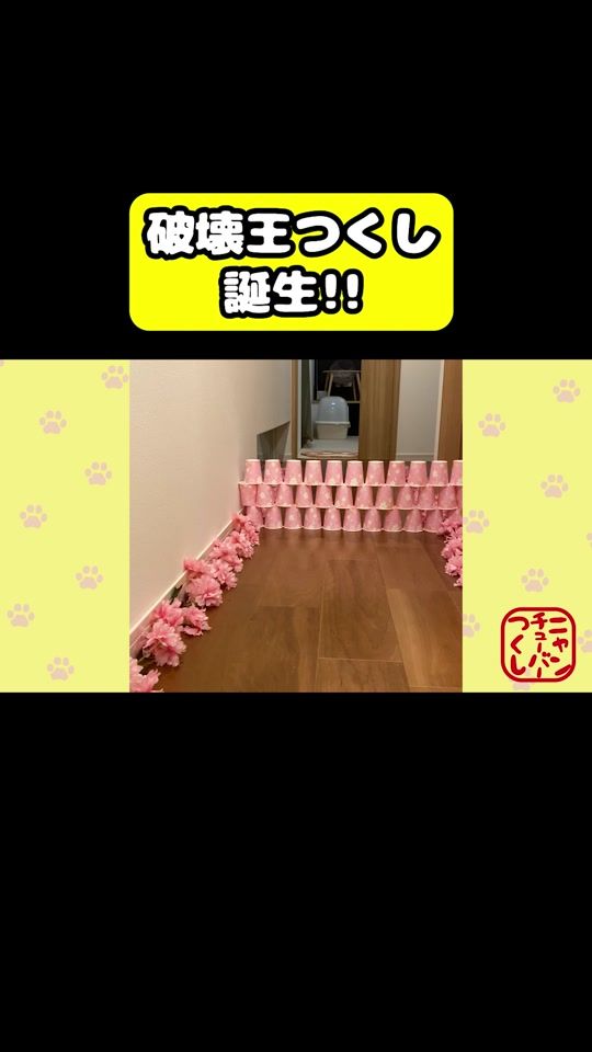 TikTok video thumbnail by tsukushitube