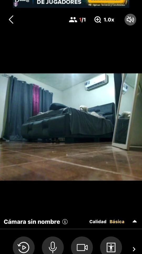 TikTok video thumbnail by tobyjose2