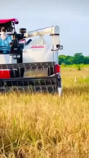 TikTok video thumbnail by _harvester_world