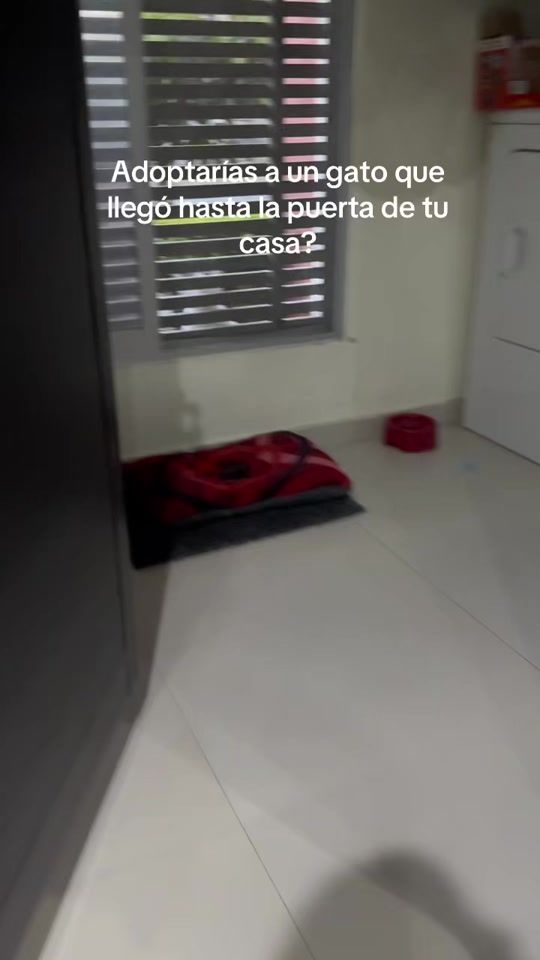 TikTok video thumbnail by ileanamach