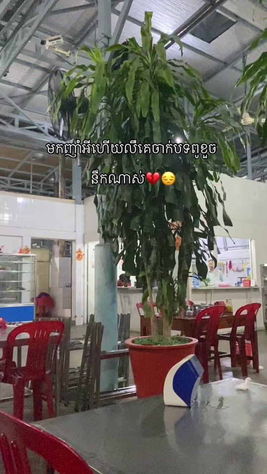 TikTok video thumbnail by harte020