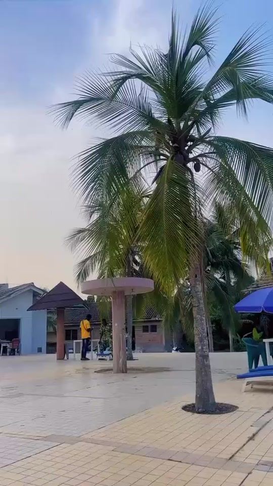 TikTok video thumbnail by ubvatican