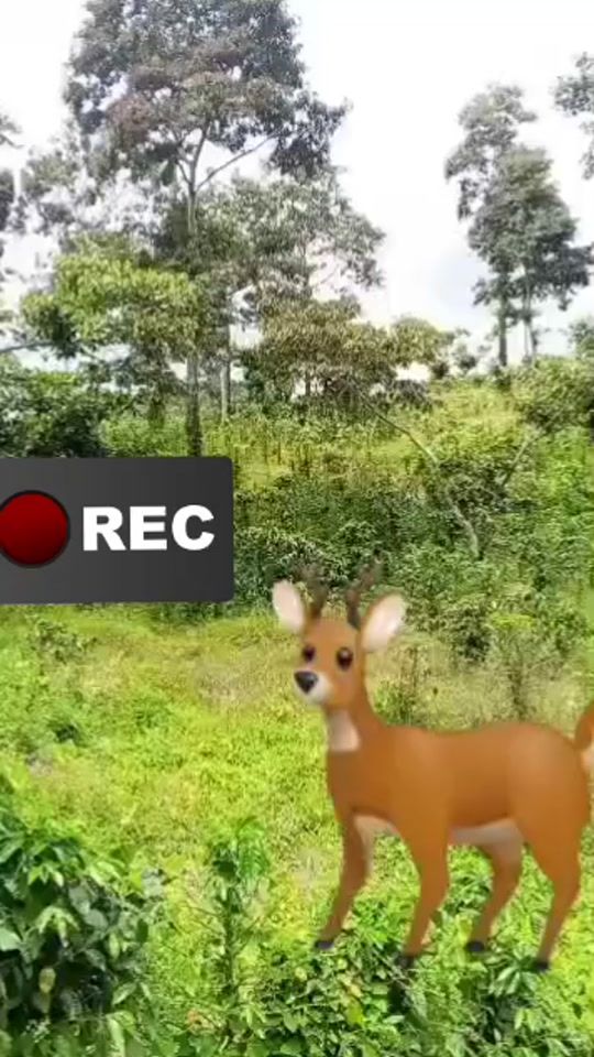 TikTok video thumbnail by caceria8630