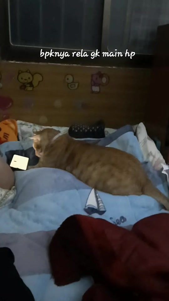 TikTok video thumbnail by i2n04