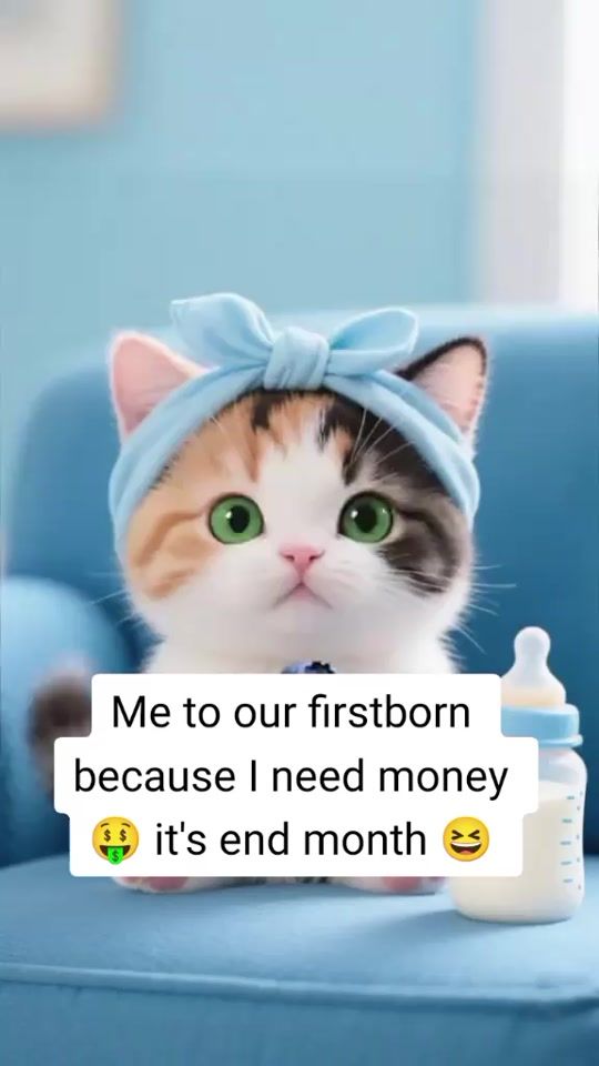 TikTok video thumbnail by kamum092