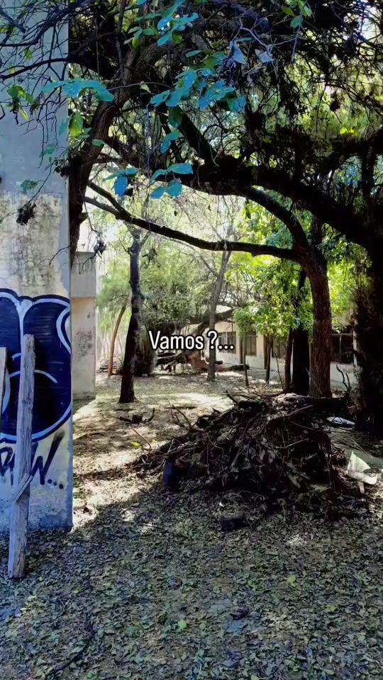 TikTok video thumbnail by lanoche_misteriosa.urbex