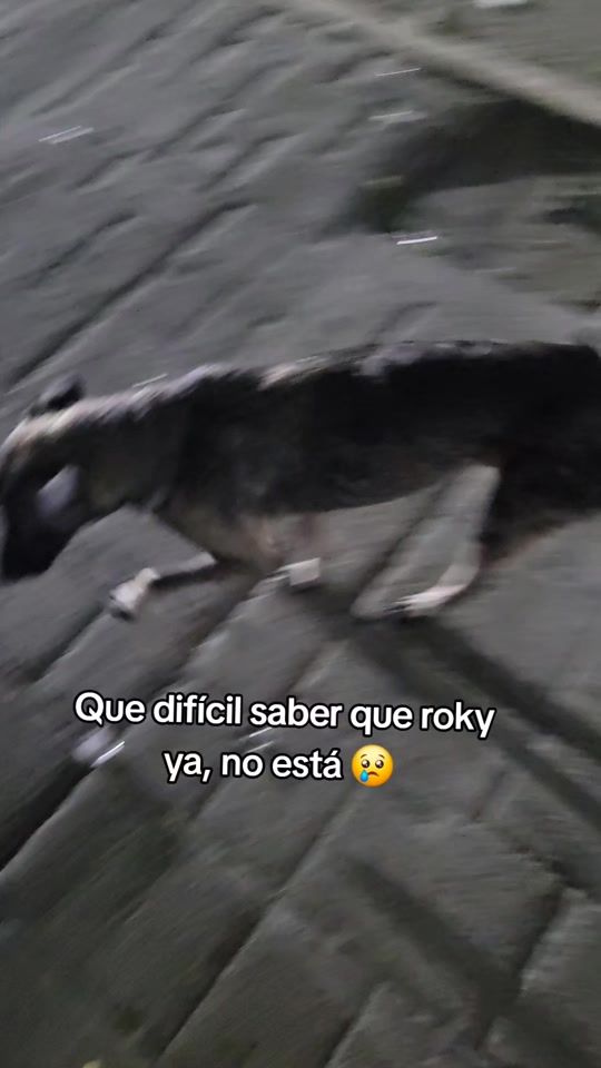 TikTok video thumbnail by axsume12