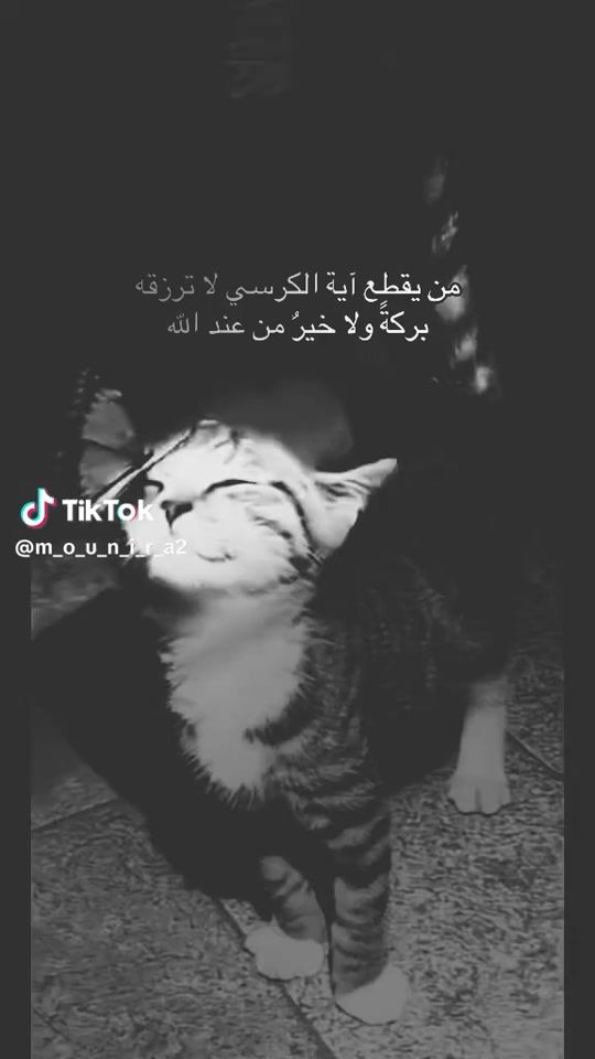 TikTok video thumbnail by nessrinejelassi