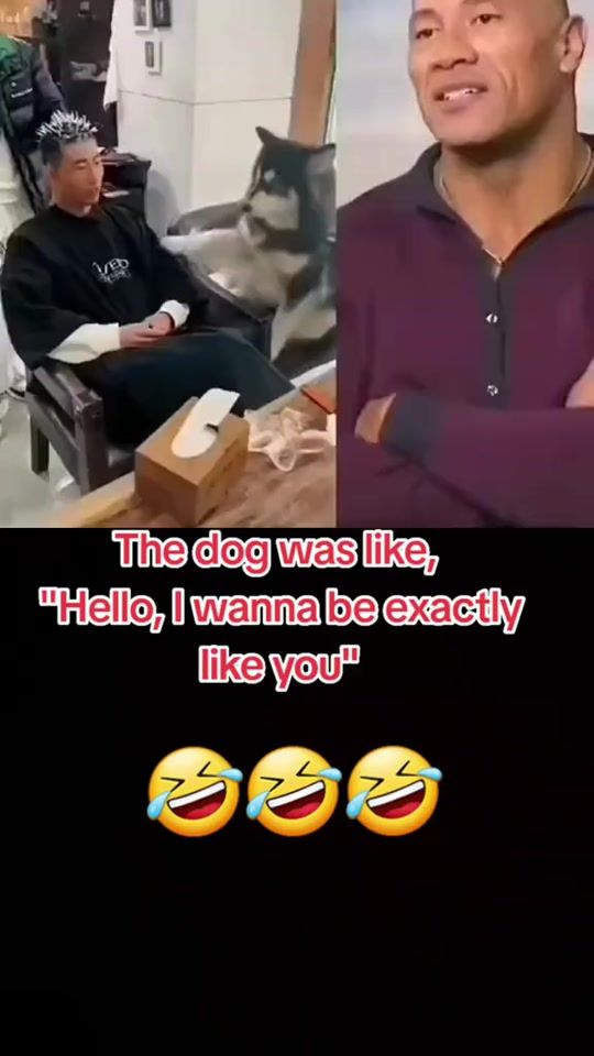 TikTok video thumbnail by iryncharles1