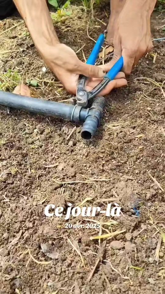 TikTok video thumbnail by hd.dz8