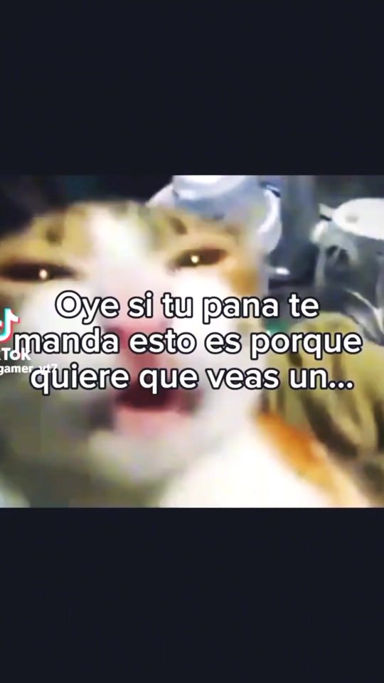 TikTok video thumbnail by luisillo.lm1