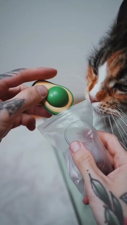 TikTok video thumbnail by petlove970