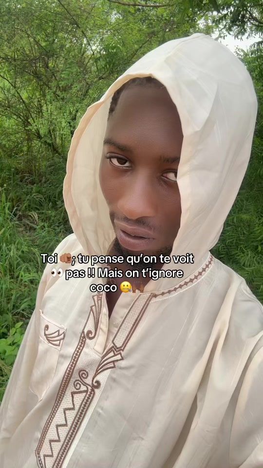 TikTok video thumbnail by lechat_2laville
