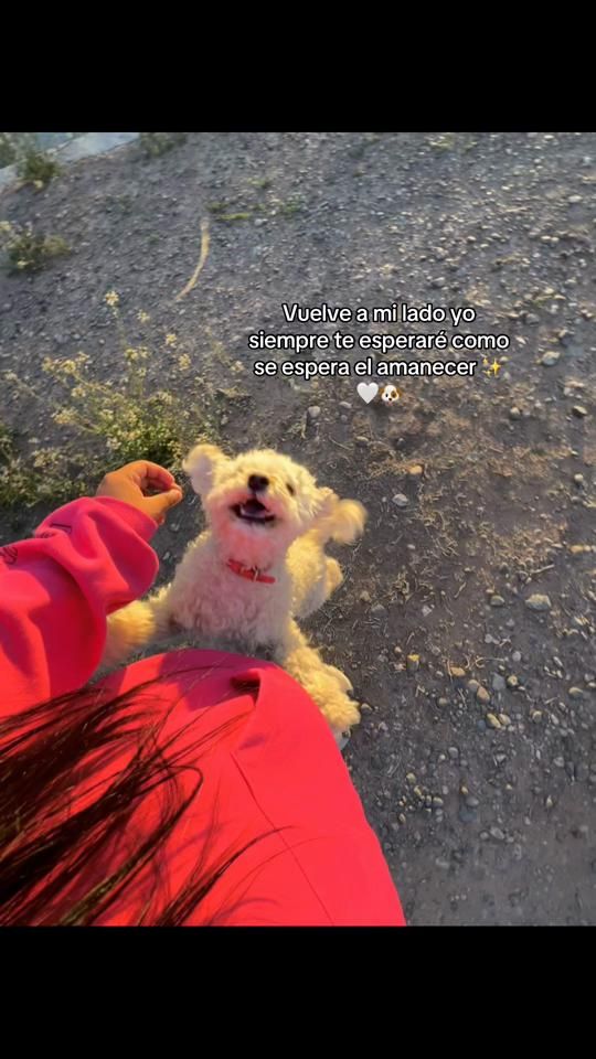 TikTok video thumbnail by ailuu.c