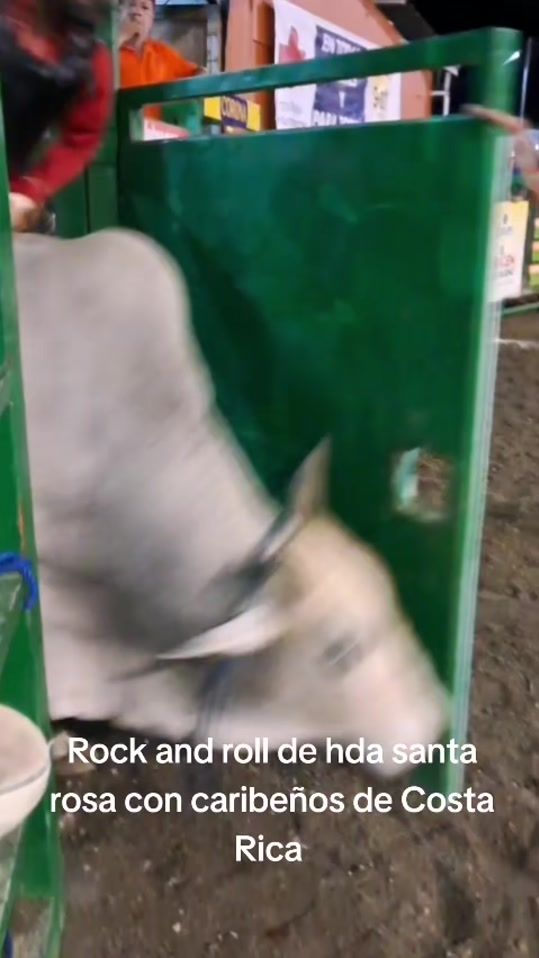 TikTok video thumbnail by pepe_chavarria_