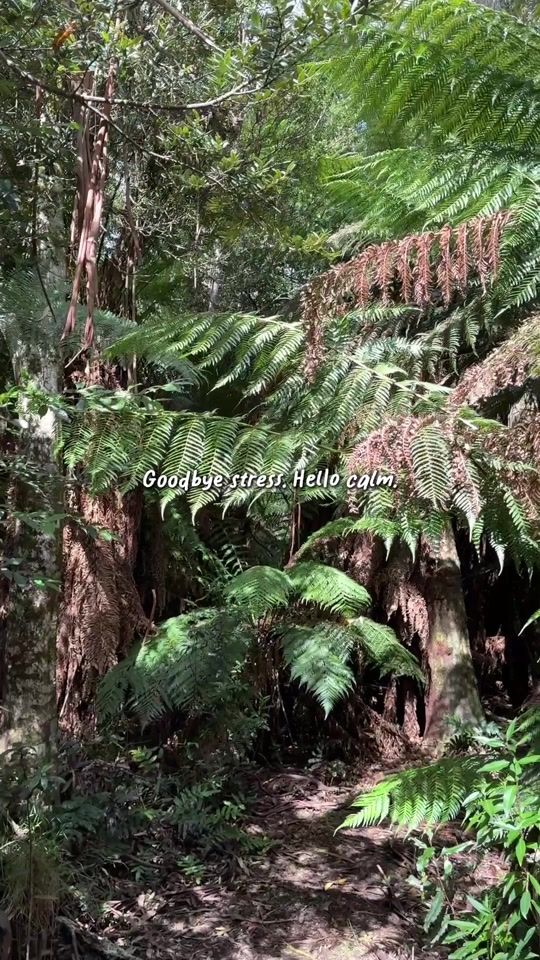 TikTok video thumbnail by campingaustralia