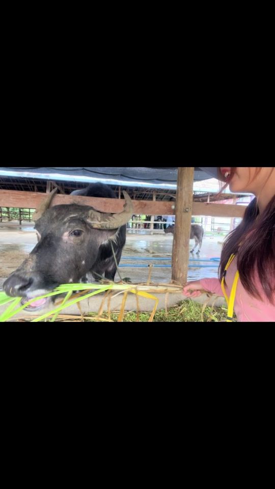 TikTok video thumbnail by jena2357_