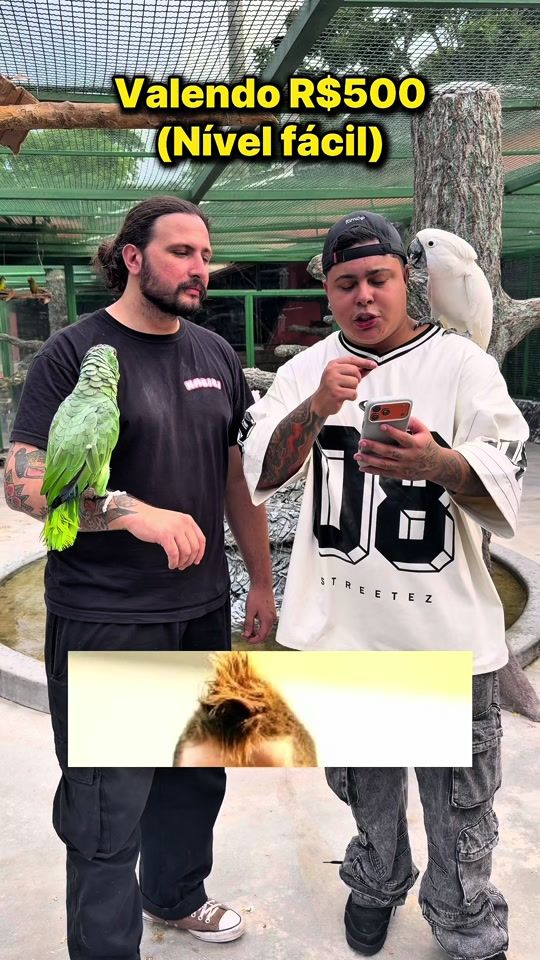 TikTok video thumbnail by fluxo_wallace