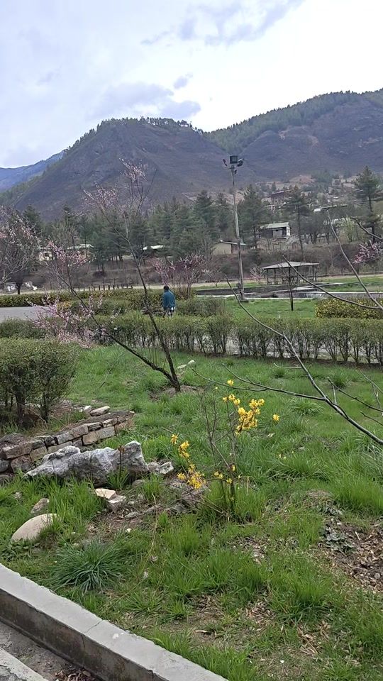 TikTok video thumbnail by tshering1133