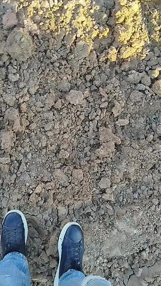 TikTok video thumbnail by ilyees.soltani