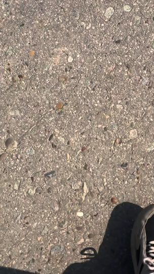 TikTok video thumbnail by e39voron