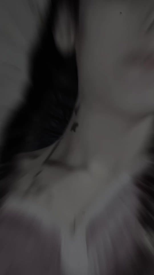 TikTok video thumbnail by coco.123.321