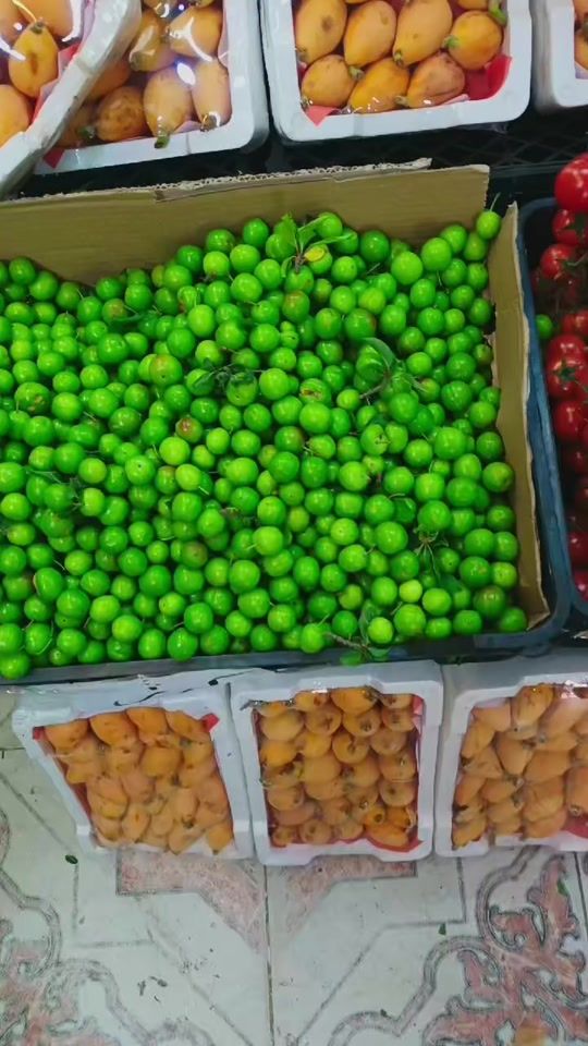 TikTok video thumbnail by mohammadqarawi1