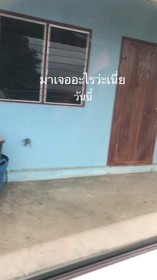 TikTok video thumbnail by tuylively