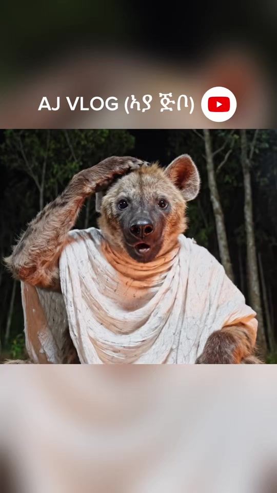TikTok video thumbnail by ayaajibo