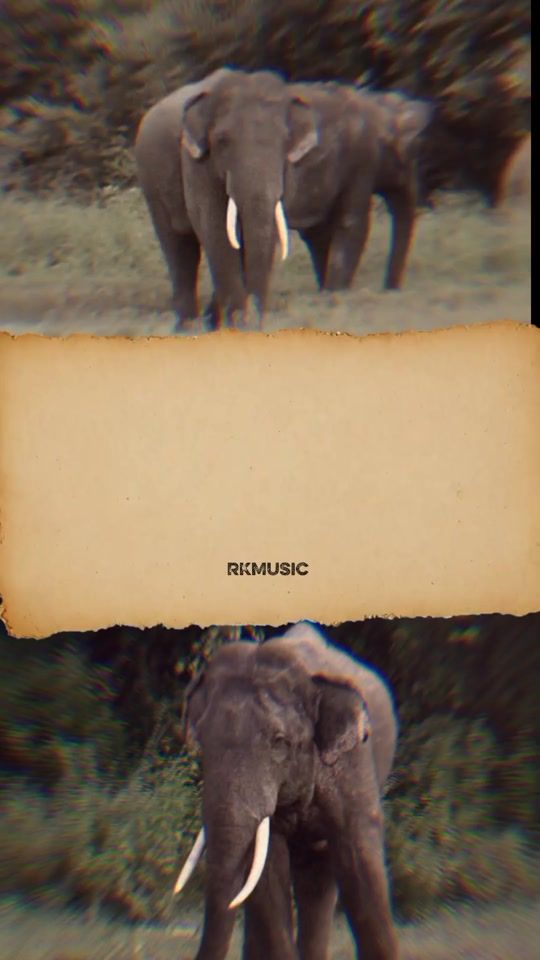 TikTok video thumbnail by rk_music_3