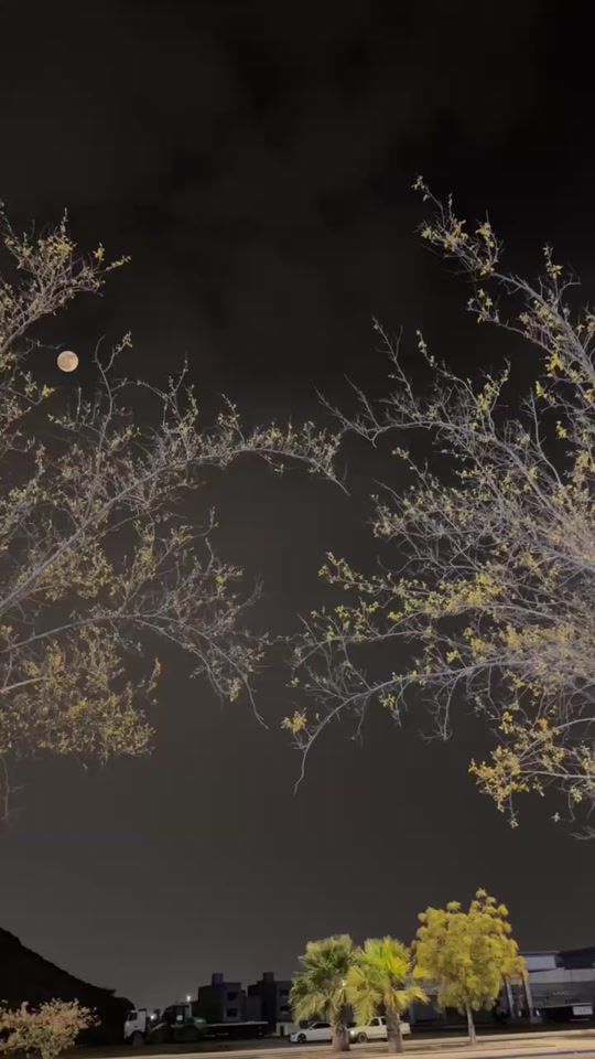 TikTok video thumbnail by sh_sssh