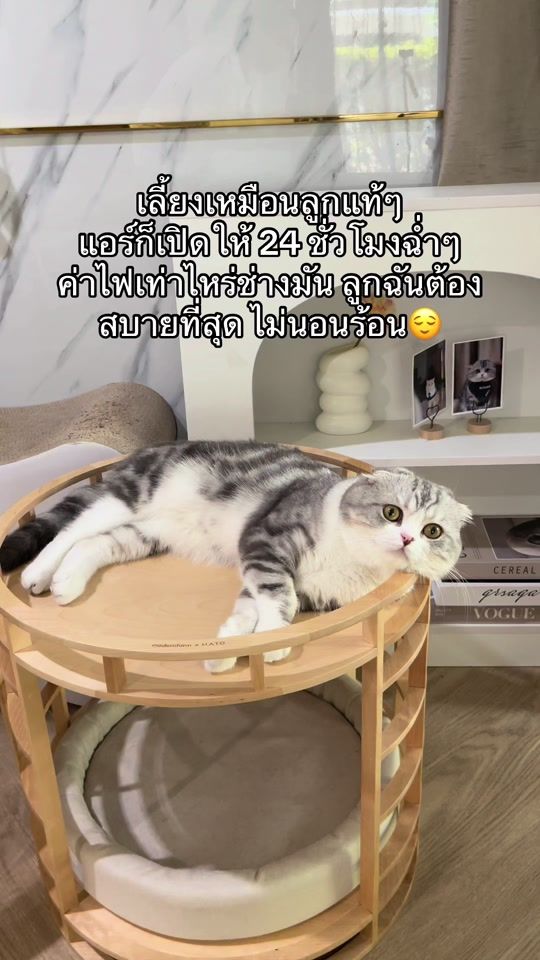 TikTok video thumbnail by bombie.cats