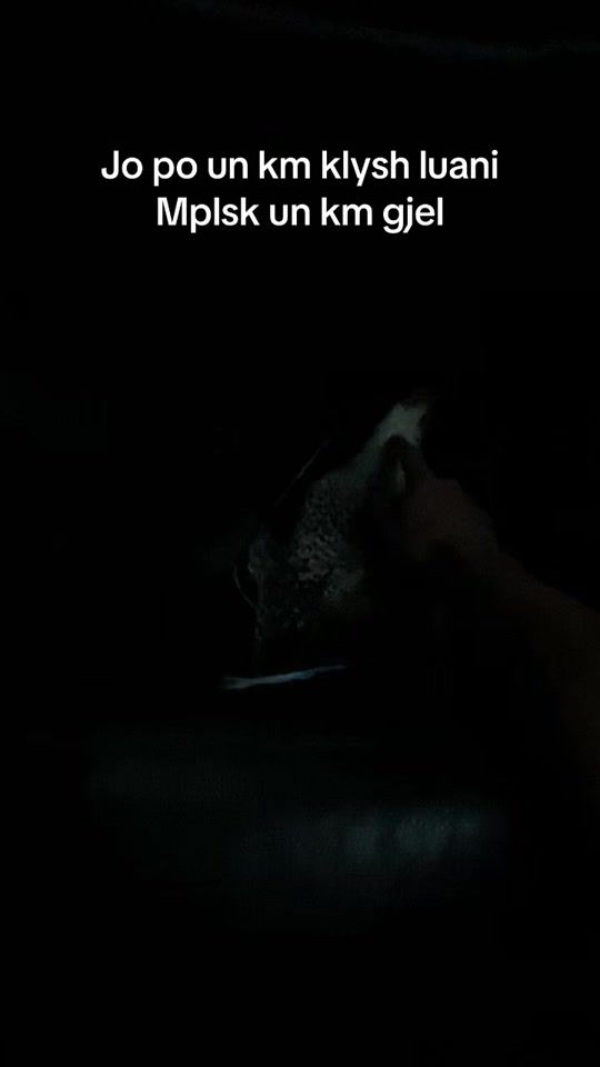 TikTok video thumbnail by a.ar117