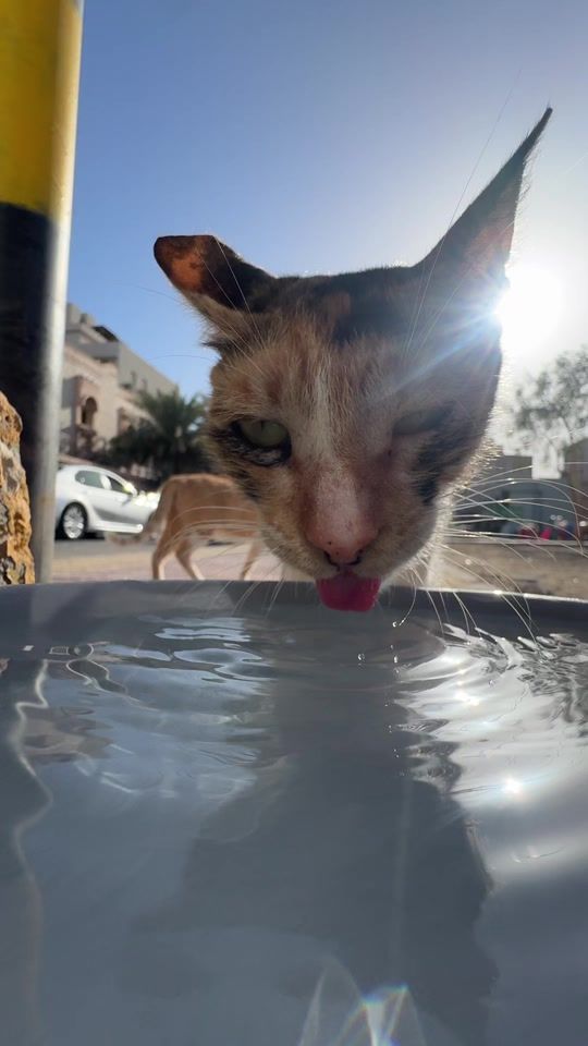 TikTok video thumbnail by hussein_abdulkarim