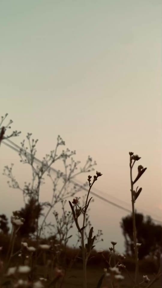 TikTok video thumbnail by talha_aes