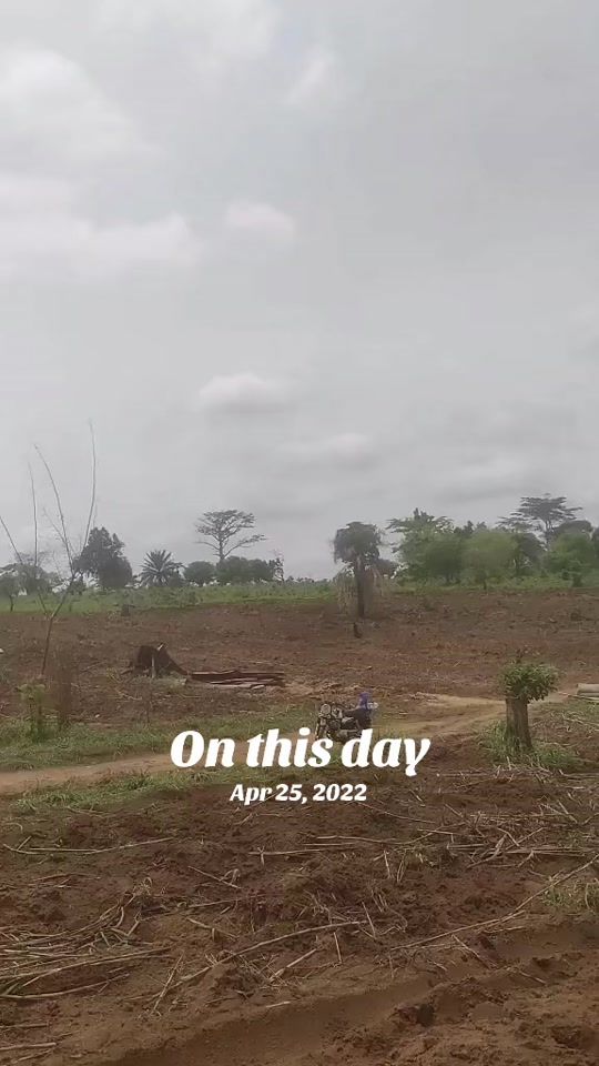 TikTok video thumbnail by dada_alex2