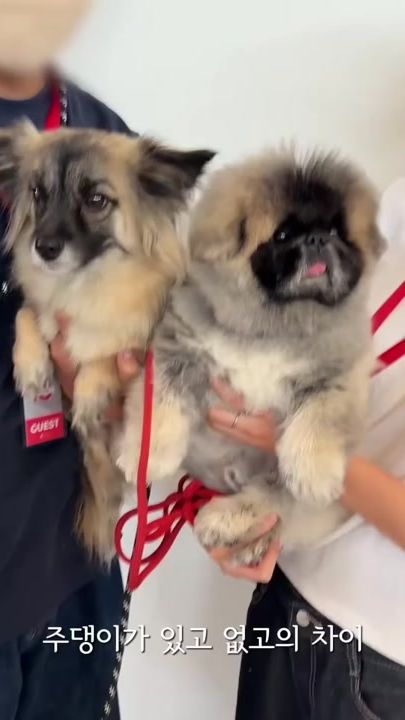 TikTok video thumbnail by sae_keomong