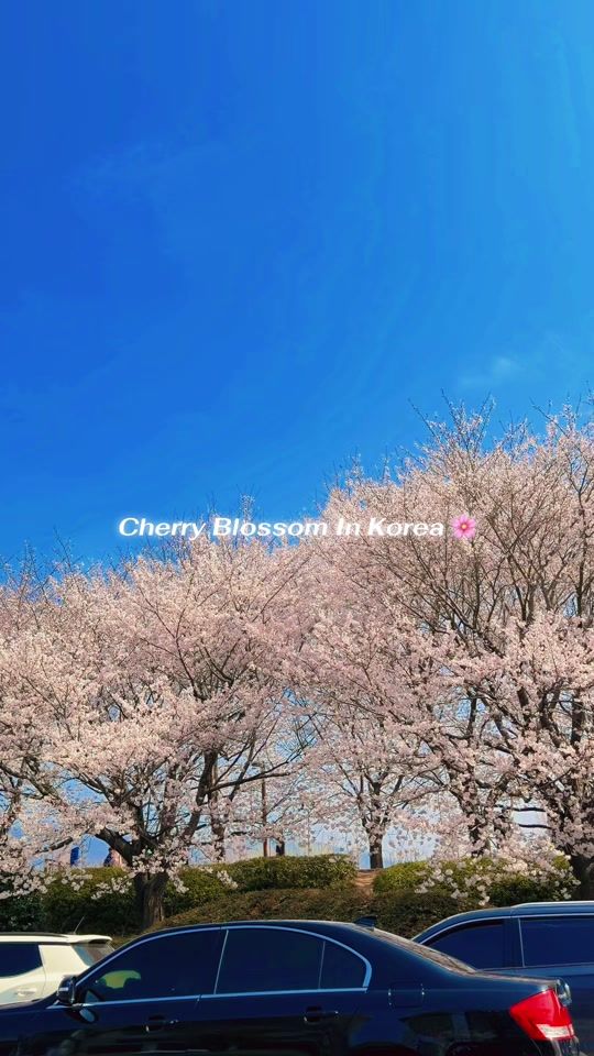 TikTok video thumbnail by nok_205