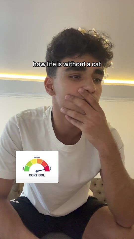 TikTok video thumbnail by ssmkylvv