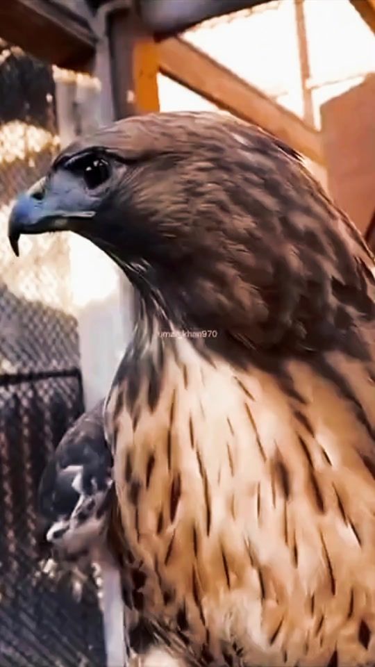 TikTok video thumbnail by berriberri50