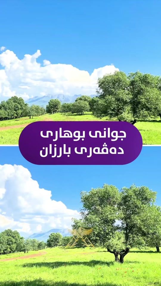 TikTok video thumbnail by davari_barzan