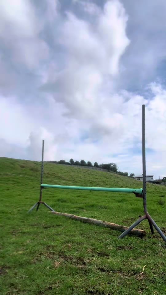 TikTok video thumbnail by gg._.equestrian