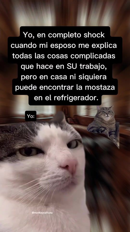 TikTok video thumbnail by tu.gato.curioso