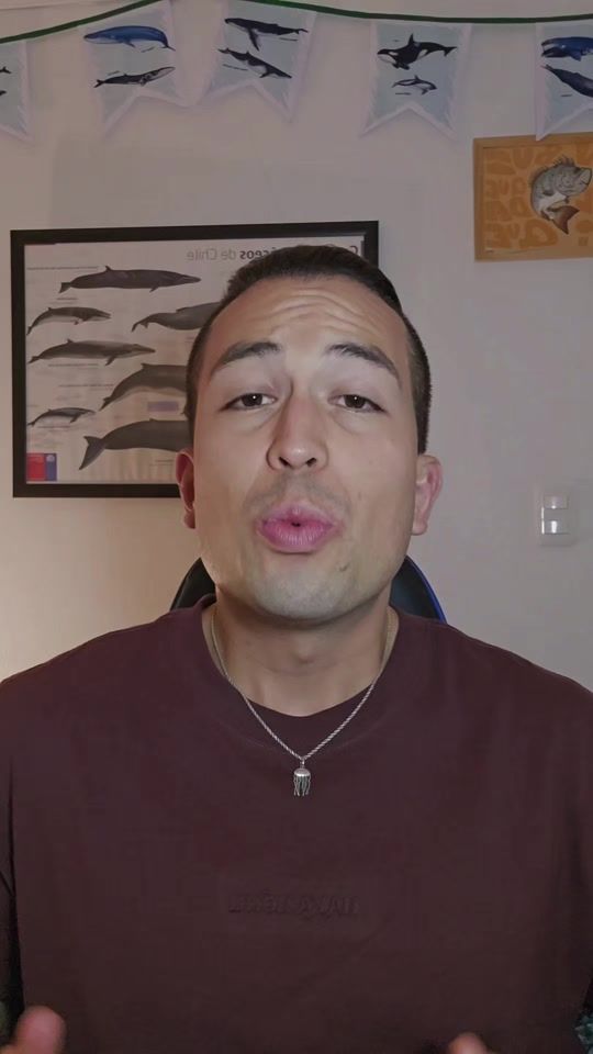 TikTok video thumbnail by nico.olasp