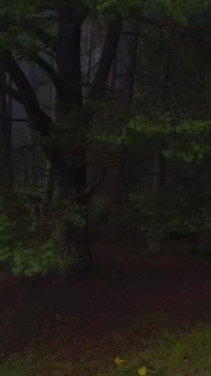 TikTok video thumbnail by uip7ik