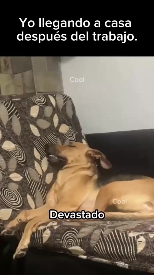 TikTok video thumbnail by memasikoficial
