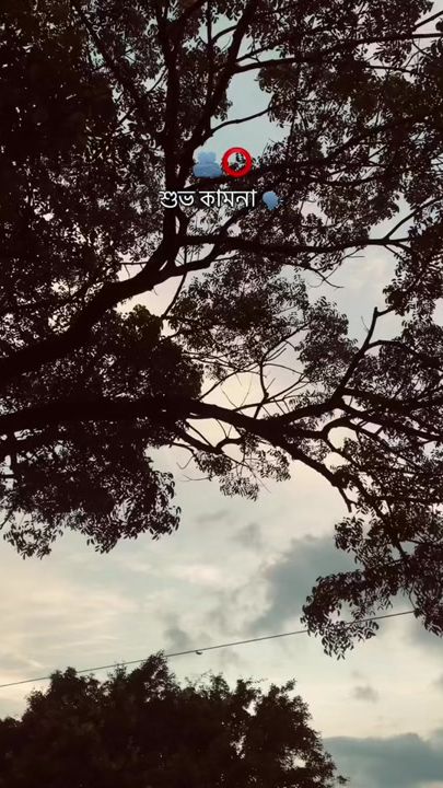 TikTok video thumbnail by ff__tusher__007