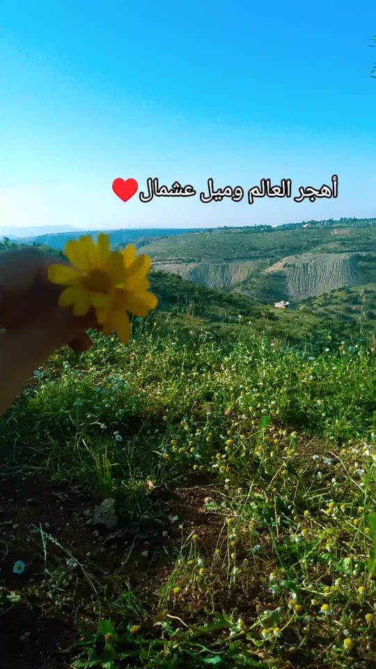 TikTok video thumbnail by aqaba281