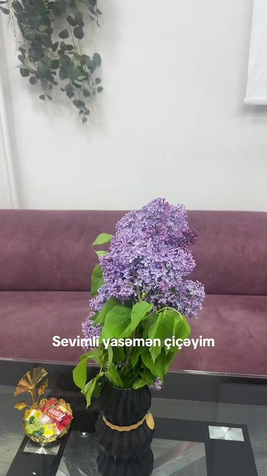 TikTok video thumbnail by master.zeyneb